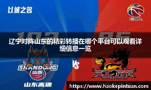 星空综合中国体育